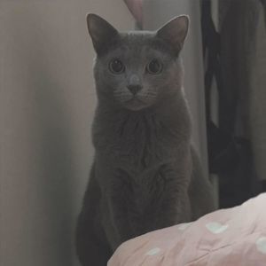 Meet your Posher, Eunju